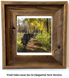 trail rides near me in Chaparral, New Mexico